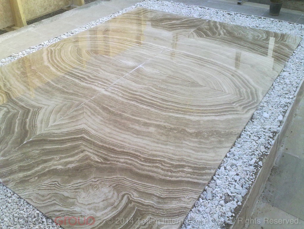 TGTX 516 - Tiger (Zebra ) Teraonyx